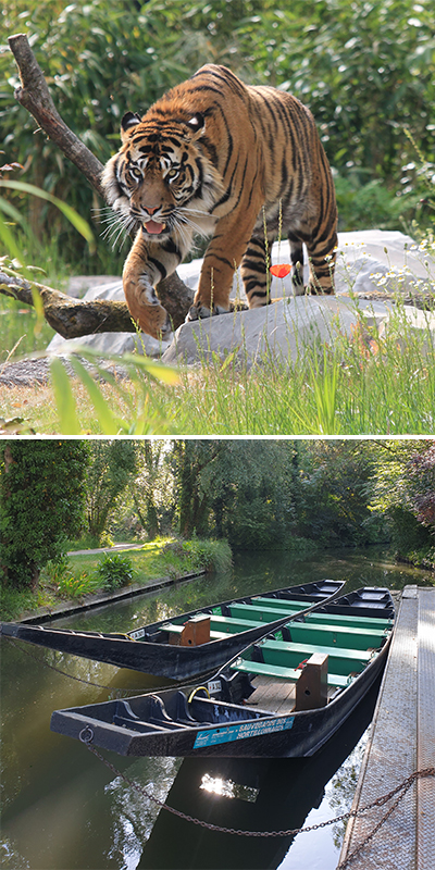 Journée à Amiens : visite du zoo ou découverte des hortillonnages en barque.