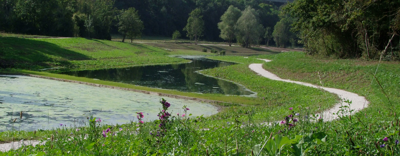 Nature & environnement