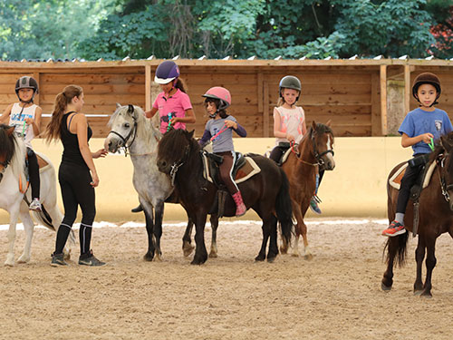 Équitation