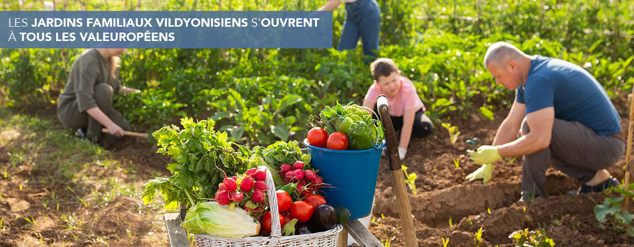 Les jardins familiaux Vildyonisiens s’ouvrent à tous les Valeuropéens