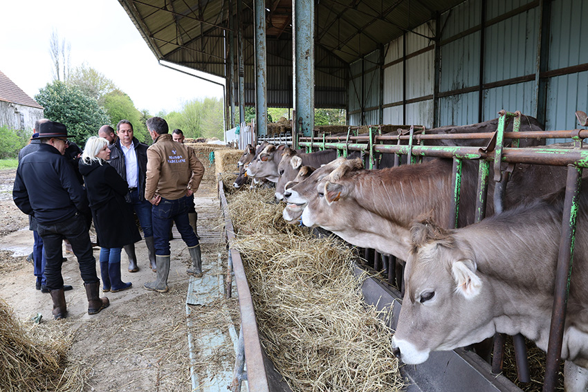 À Villeneuve Saint-Denis, Maison Madelaine mise sur une production locale de yaourts