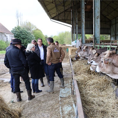 À Villeneuve Saint-Denis, Maison Madelaine mise sur une production locale de yaourts