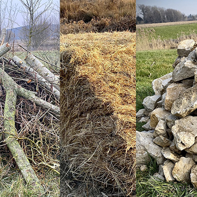 Les bassins du Val d'Europe, nouvelles résidences de la faune sauvage