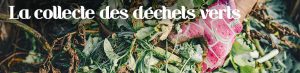 La collecte des déchets verts