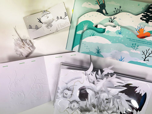 En hiver : tout blanc
