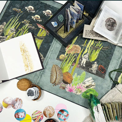 Les trésors du cabinet