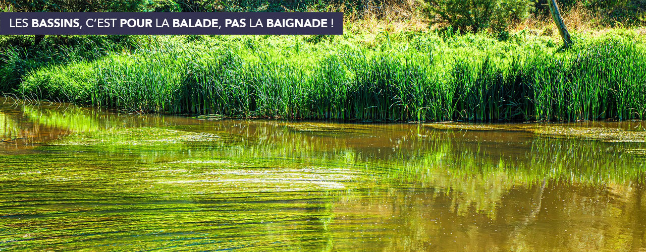 Les bassins, c’est pour la balade, pas la baignade !