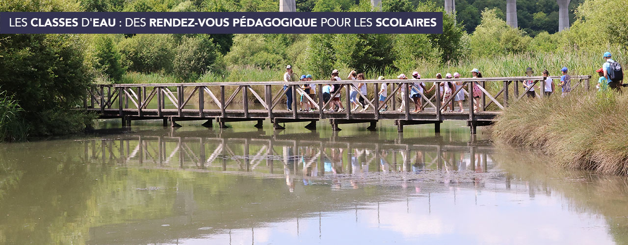 Les classes d’eau : rendez-vous pédagogique pour les scolaires