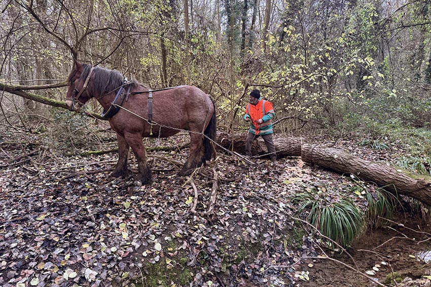 01-aee06b19-81fa-4b22-98d3-e47ee3d90716