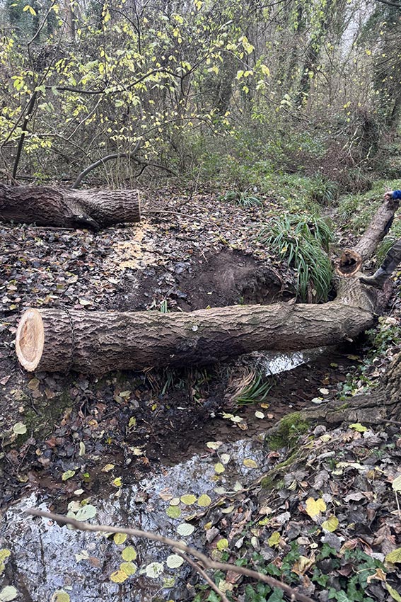 02-174742c3-b89a-44e6-8491-270c8f546210