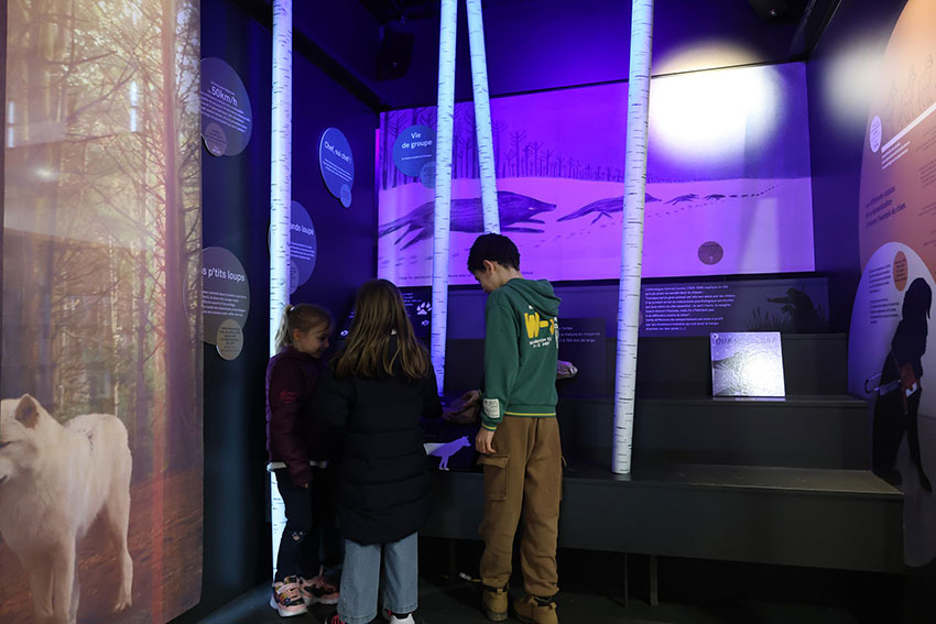 627674963_1308523094641809_7337090247654407171_n