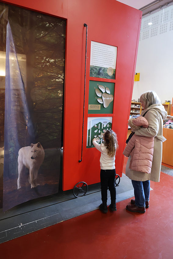 627706312_1308523231308462_7463688809277190720_n