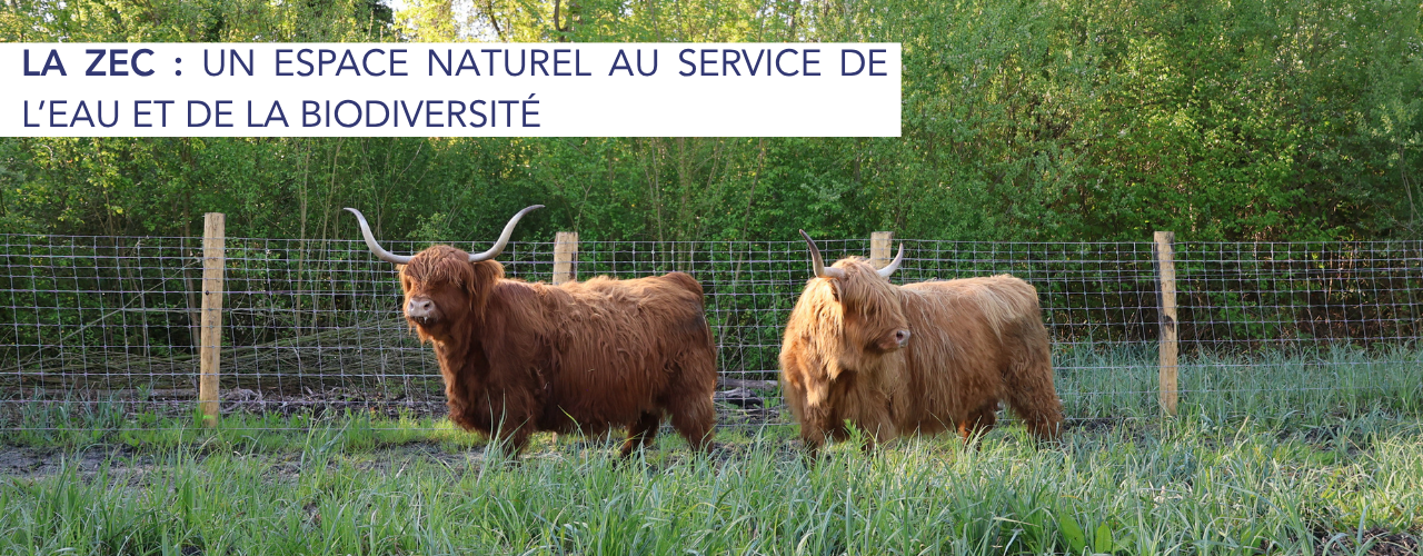 LA ZEC : un espace naturel au service de l’eau et de la biodiversité