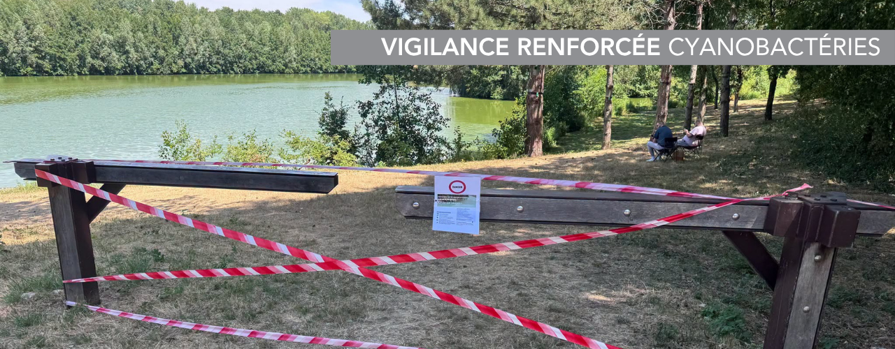 Cyanobactéries : vigilance renforcée autour des bassins du Val d&rsquo;Europe