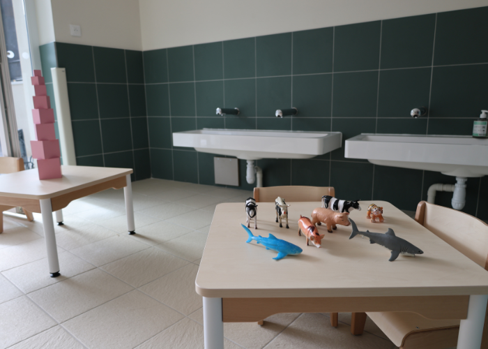 Photo SIte (5)